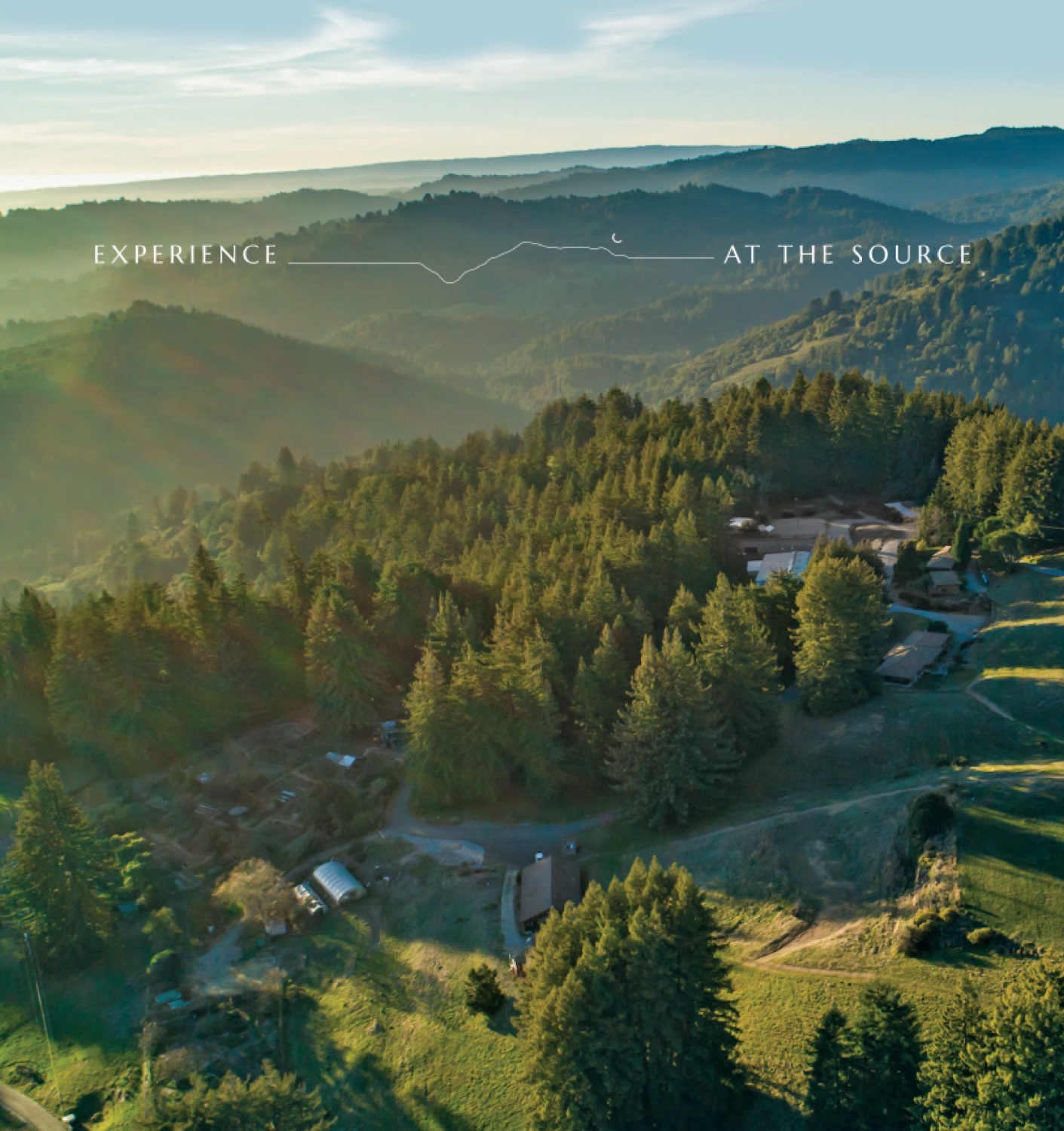 Aerial view of the forests and hills around Mount Madonna